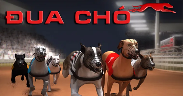 Cách Chơi Game Nhanh Đua Chó Tại Iwin Club Với Cơ Hội Thắng Lớn Mỗi Ván